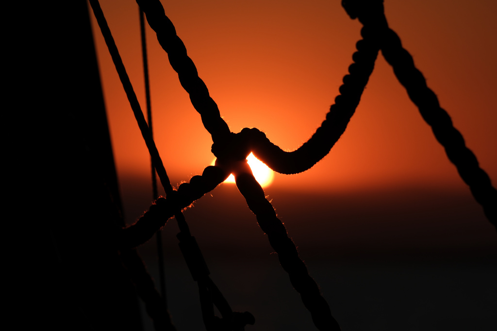 DSCF3731.jpg